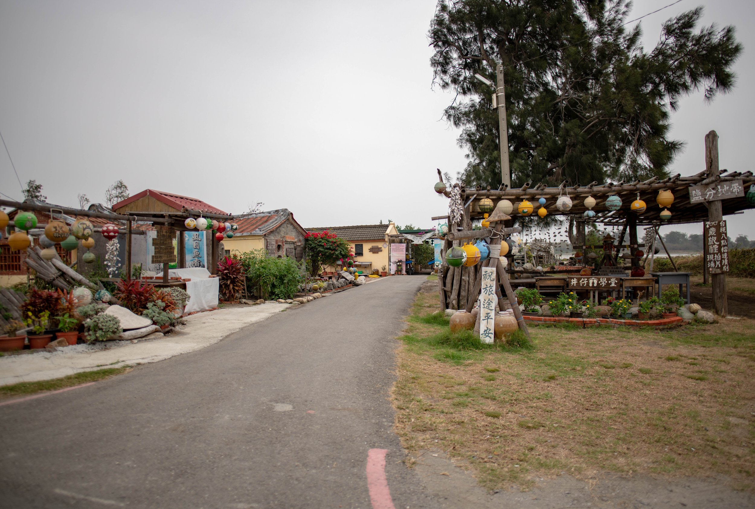 DSC_1462.jpg
