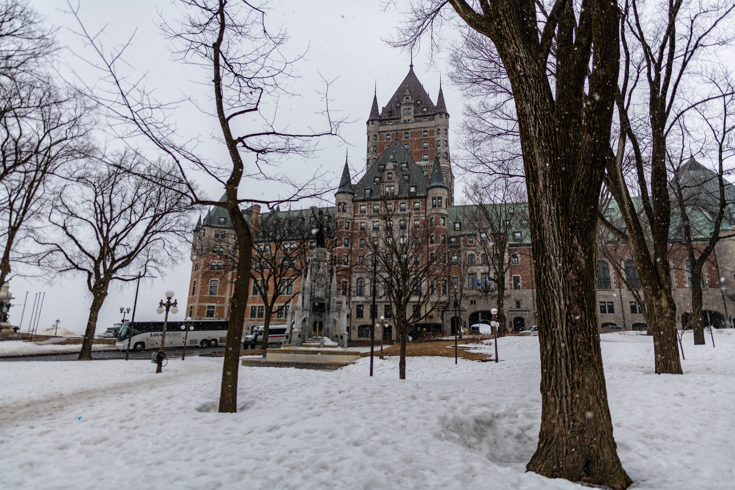 DSC_0240.jpg