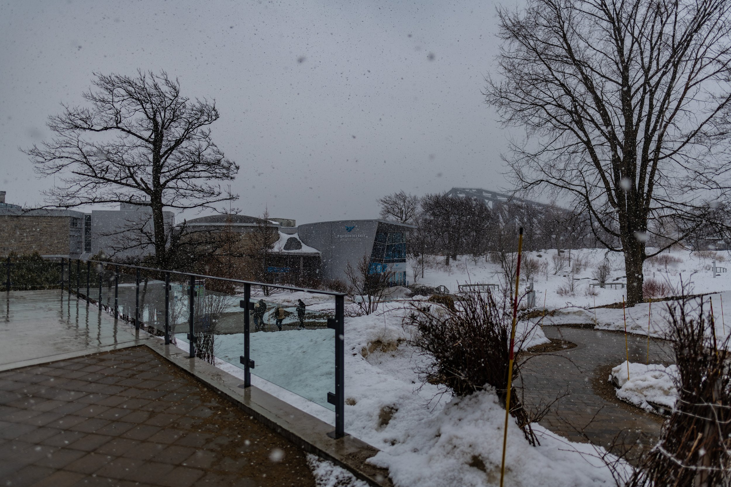 DSC_0248.jpg