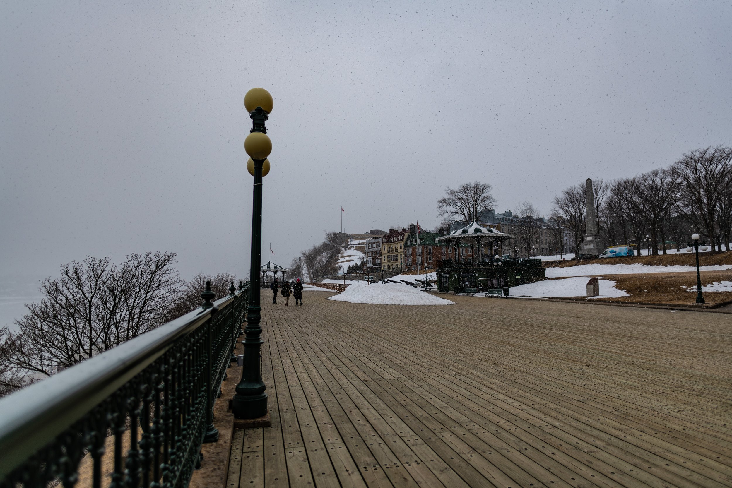 DSC_0245.jpg
