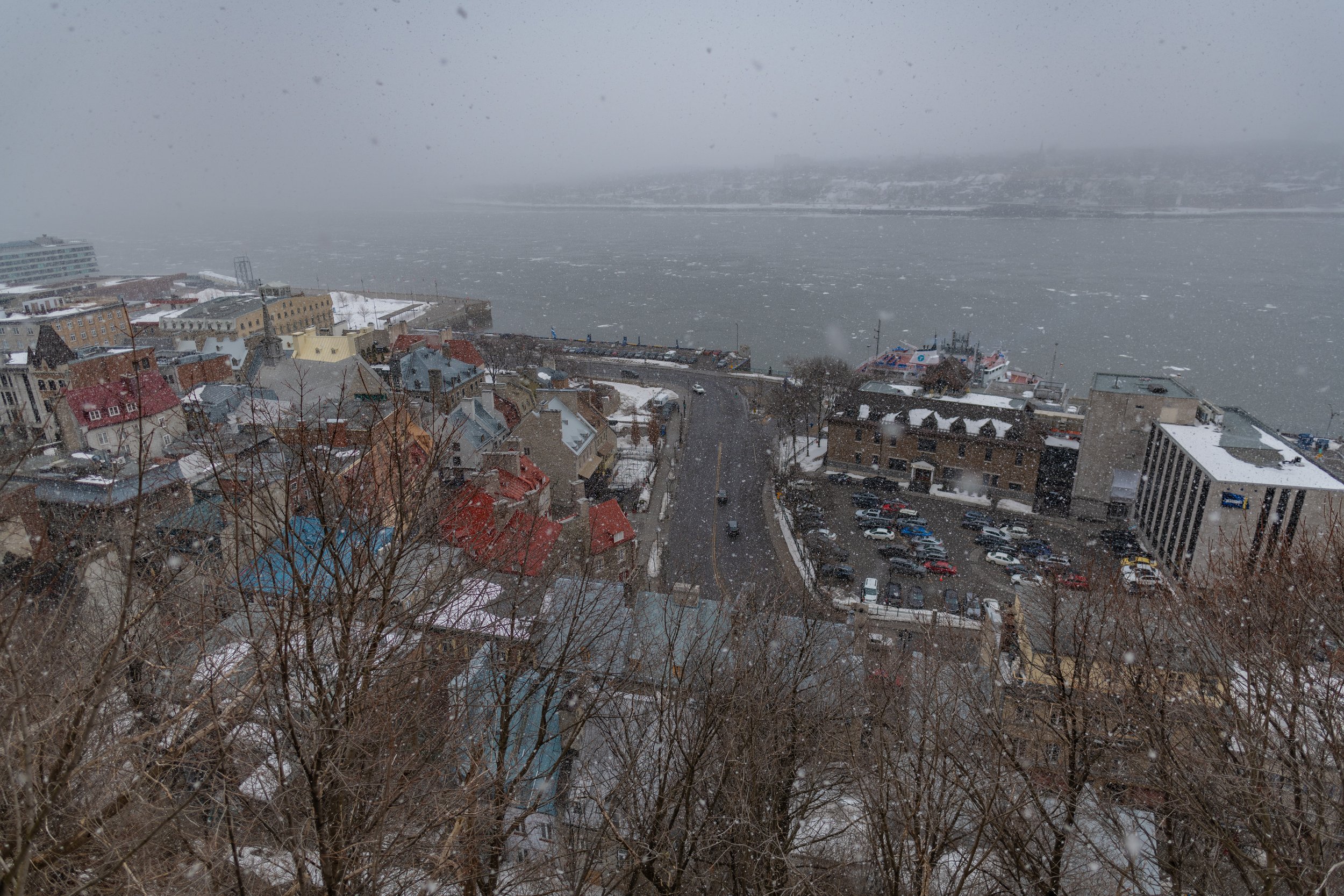 DSC_0243.jpg