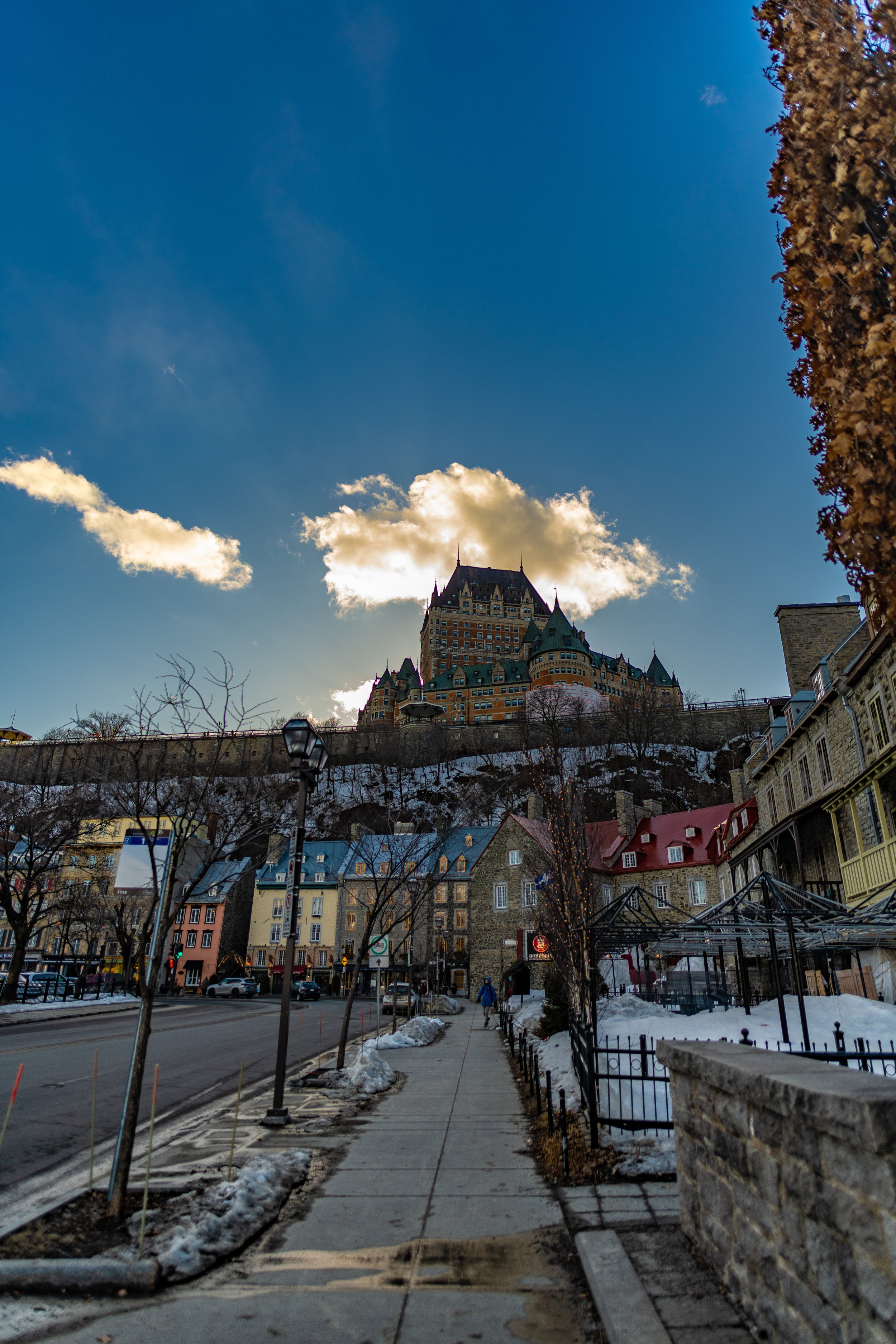 DSC_0273.jpg