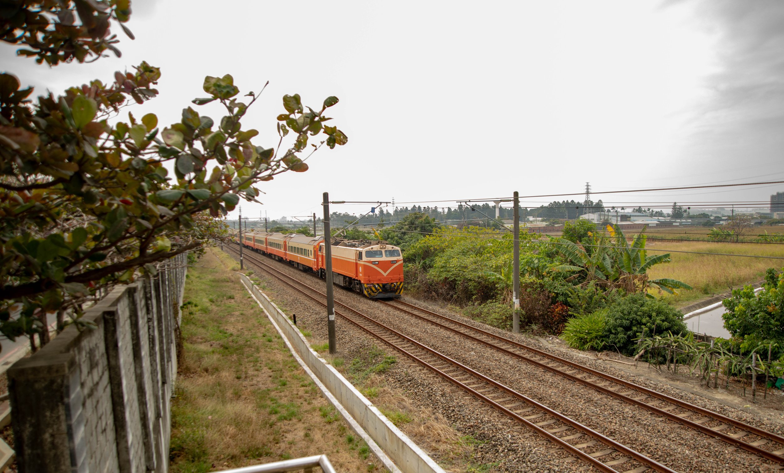 DSC_1856.jpg