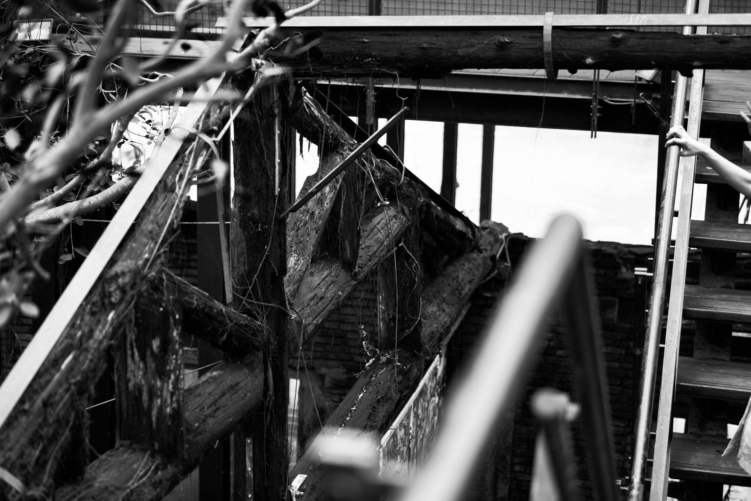 850_4010-Edit-Edit.jpg