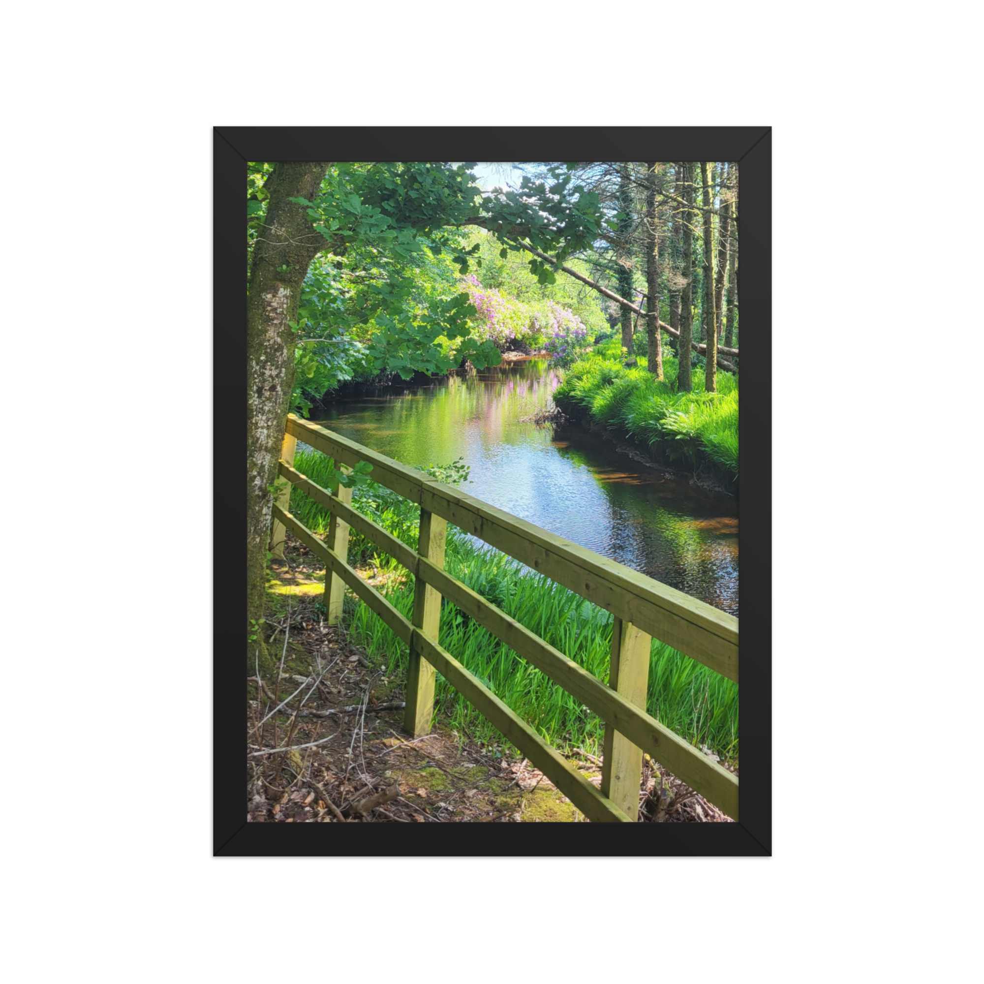 premium-luster-photo-paper-framed-poster-(in)-black-12x16-front-6883bafc7b20c.png