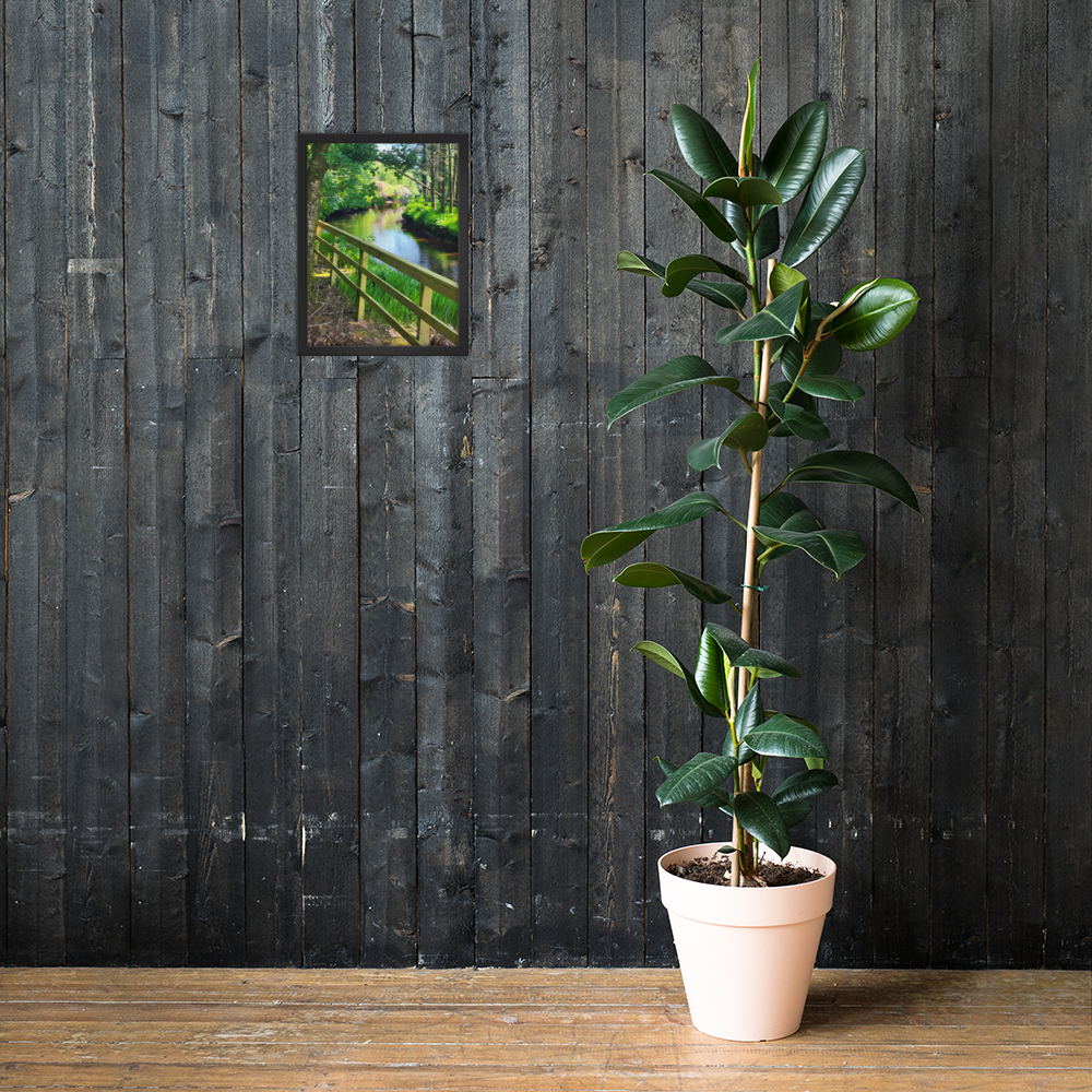 premium-luster-photo-paper-framed-poster-(in)-black-12x16-lifestyle-2-6883bafc7b279.png