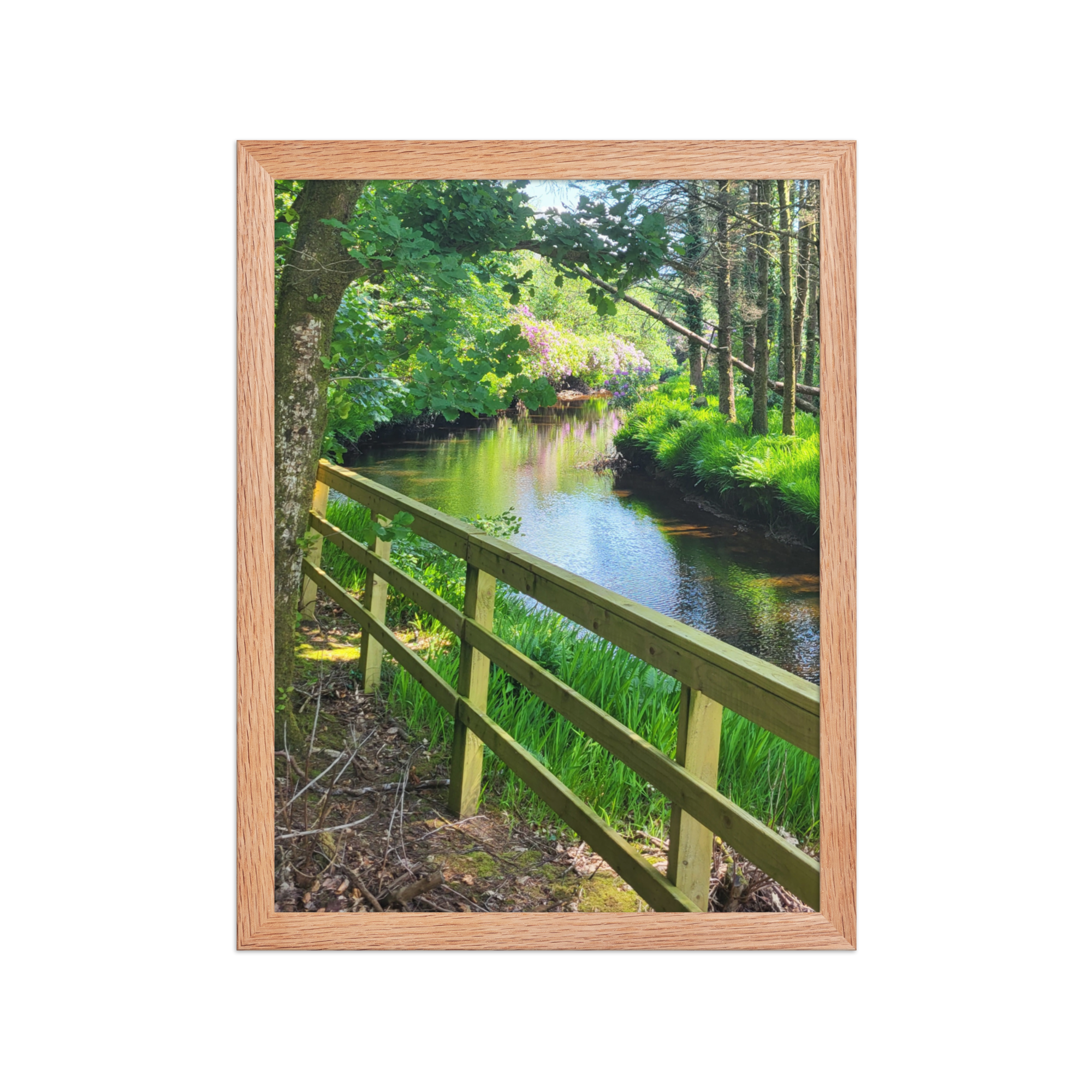 premium-luster-photo-paper-framed-poster-(in)-red-oak-12x16-front-6883bafc7b2d4.png