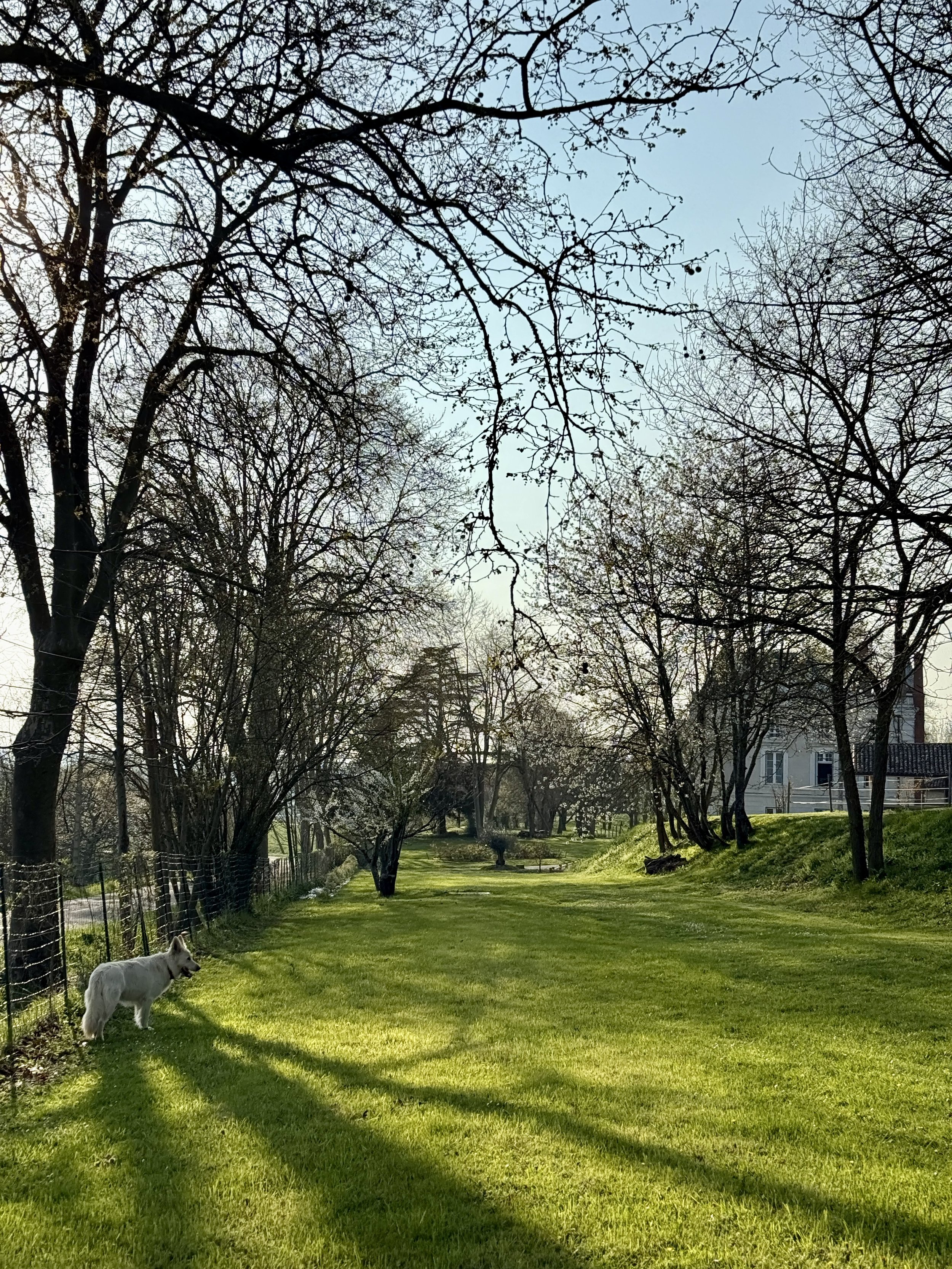 IMG_9206.jpeg