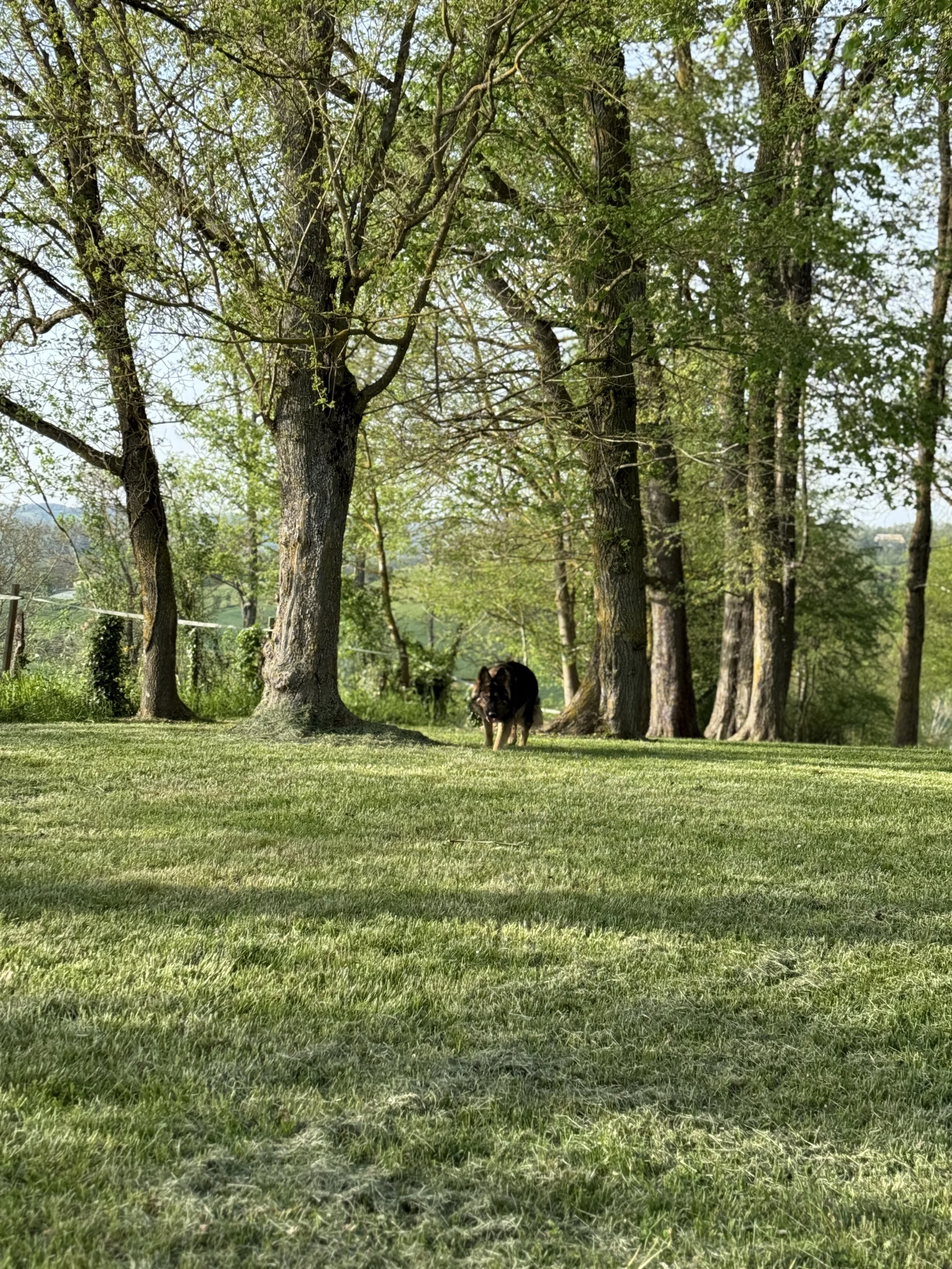IMG_0065.jpeg