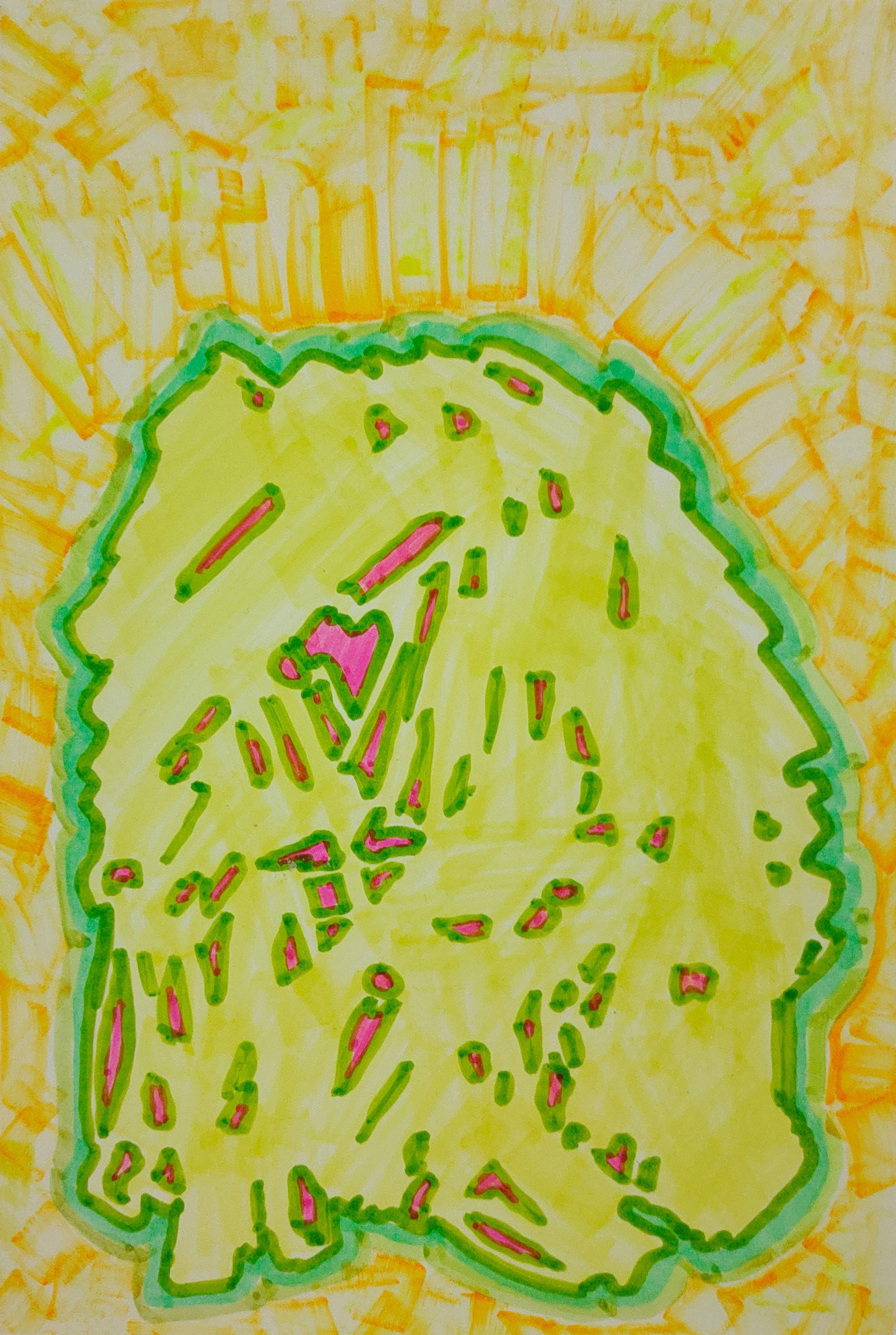 Untitled Drawing / Pen and Marker on Inkjet Paper / 10.16 cm x 15.24 cm /2010