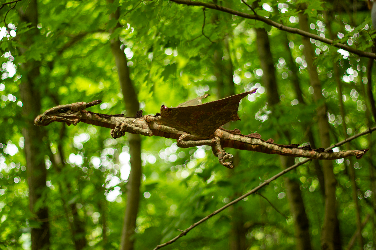 dream full forest flight.png