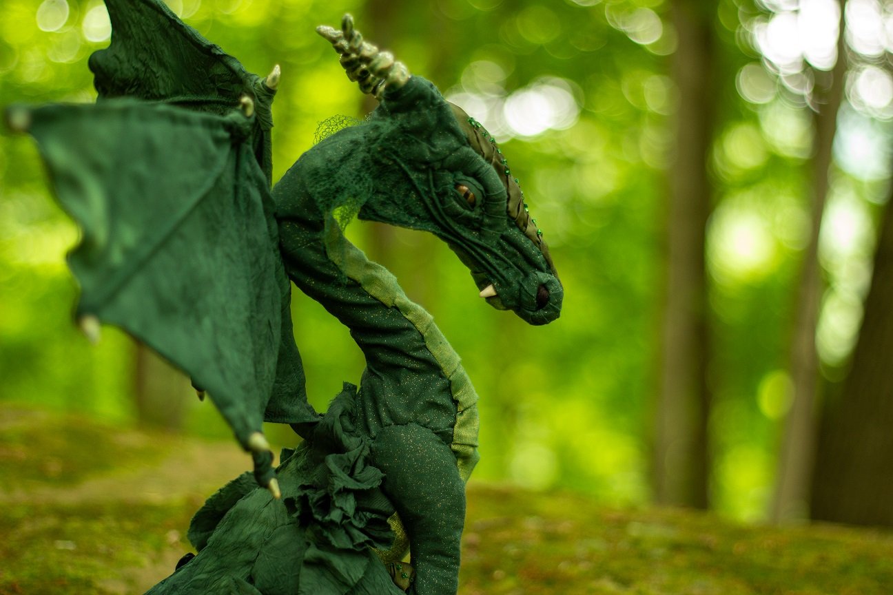 transformation side forest.jpg