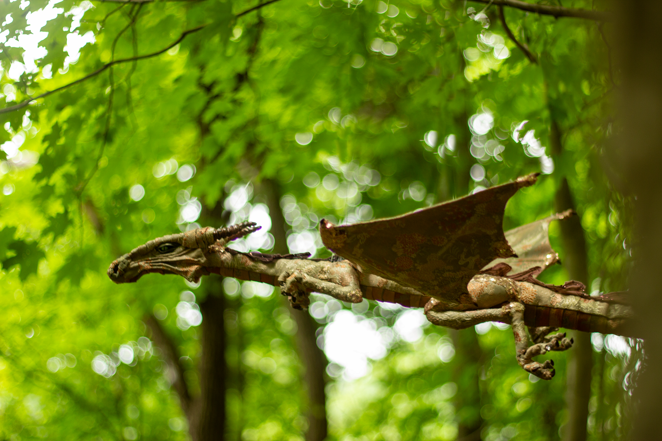 dream flight forest.png