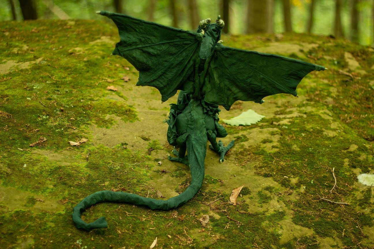 transformation back forest.jpg