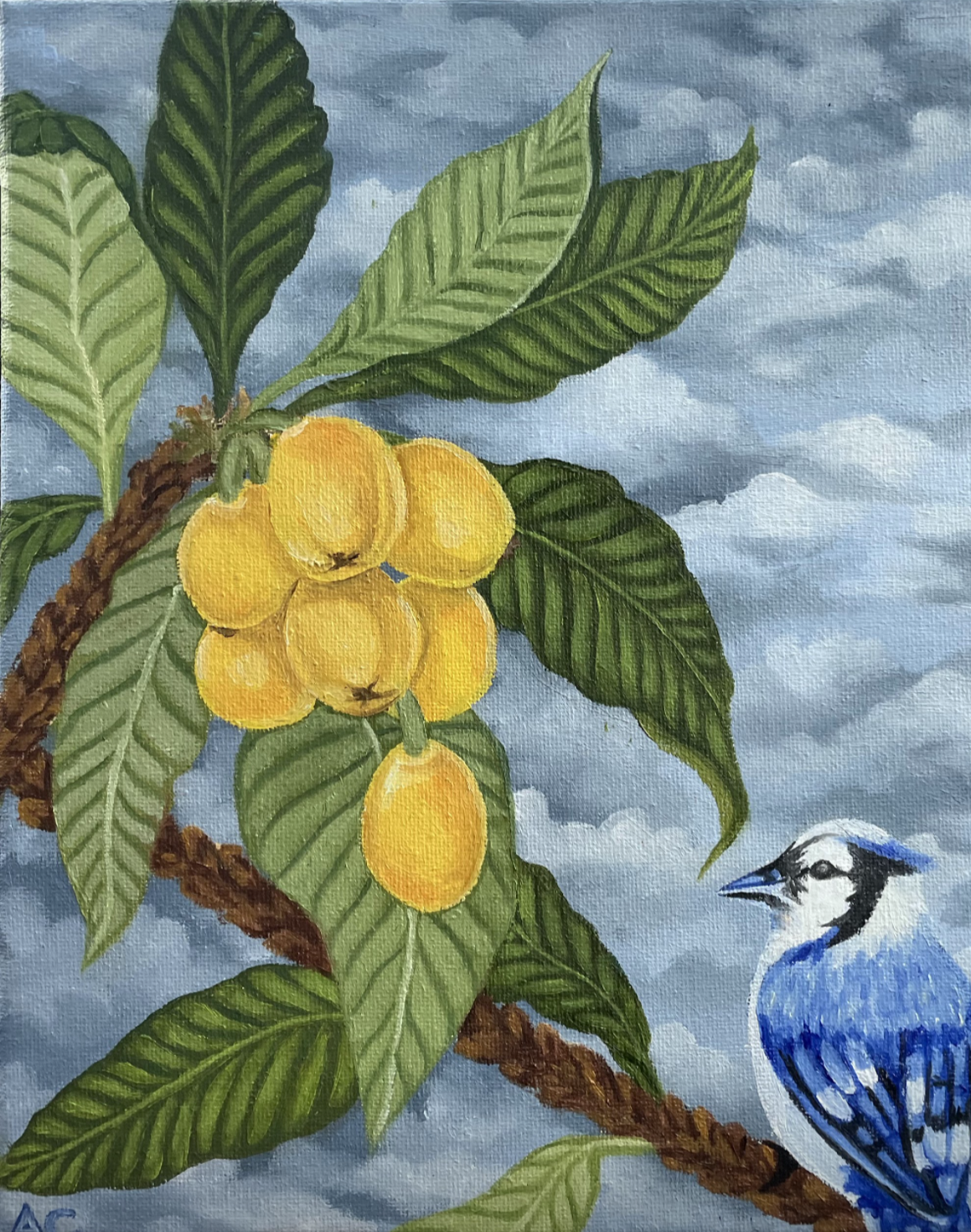 Misperos 
oil on canvas 2022
(NFS)