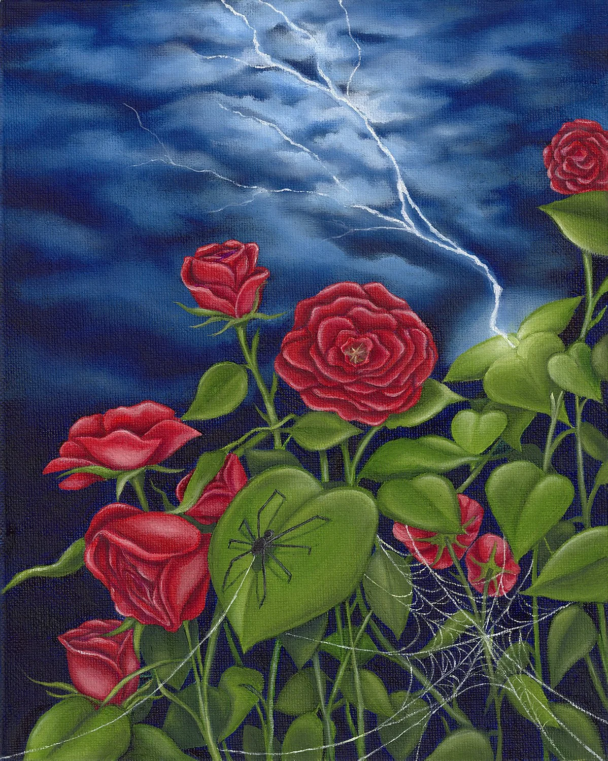 Spider Legs 10x8.jpg