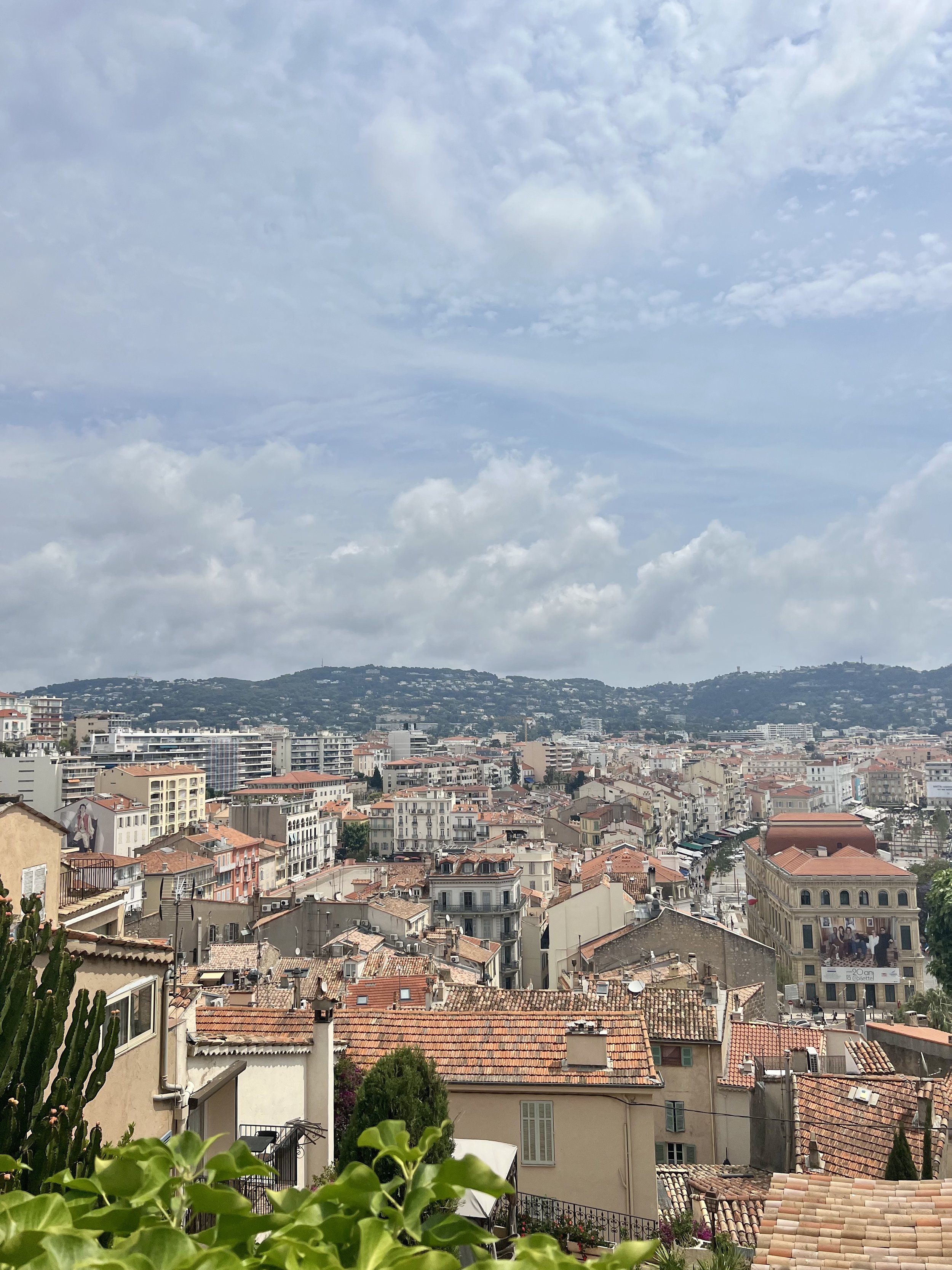 IMG_5491.jpeg