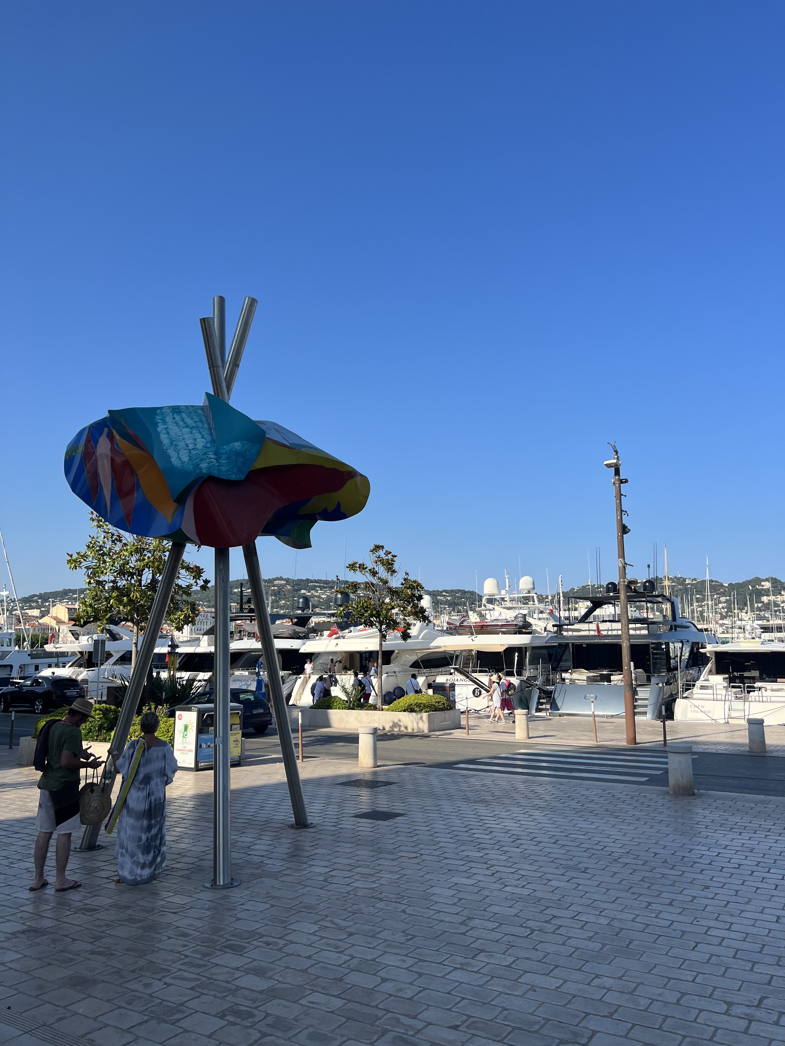 IMG_6807.jpeg