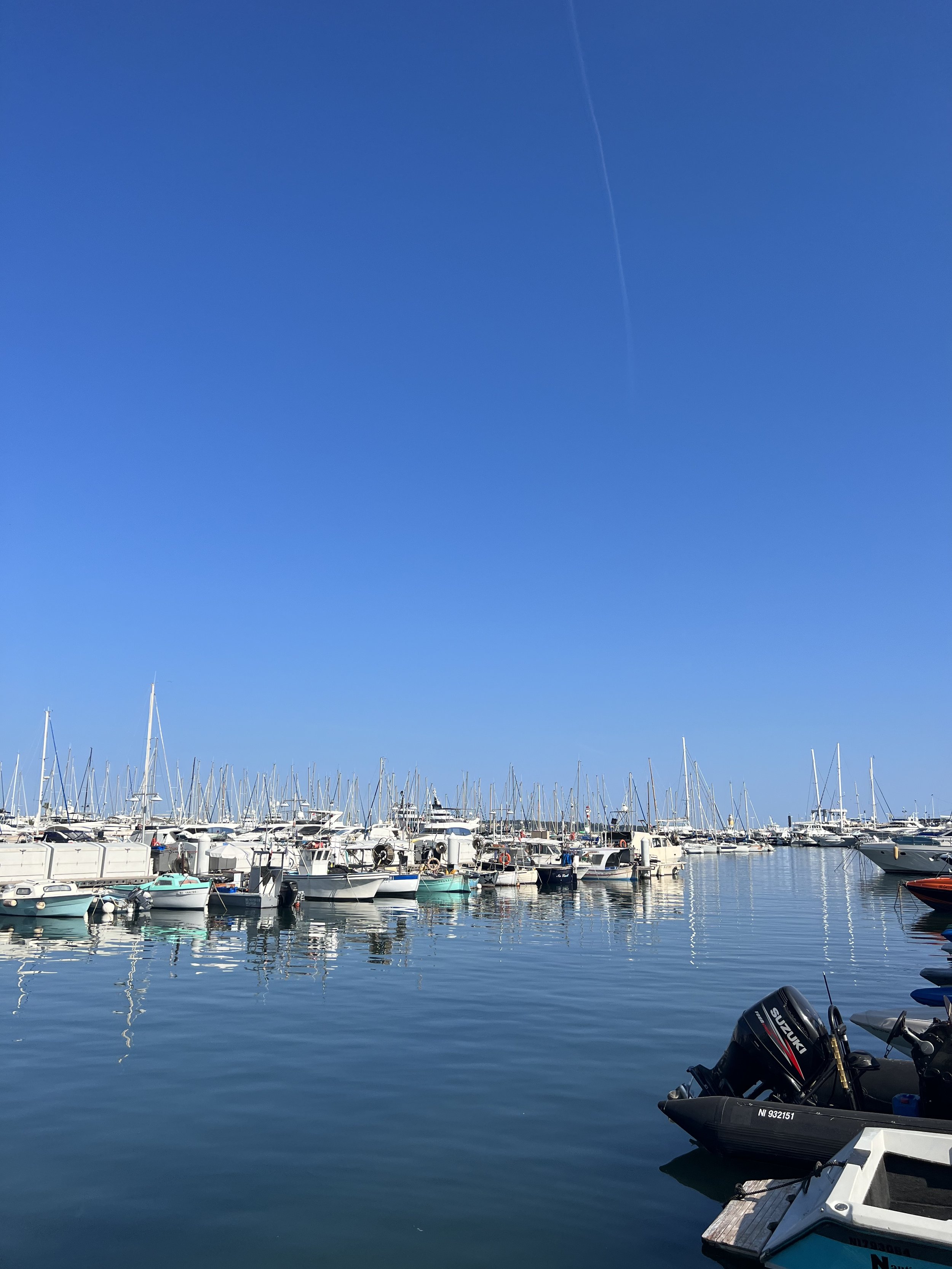 IMG_6795.jpeg