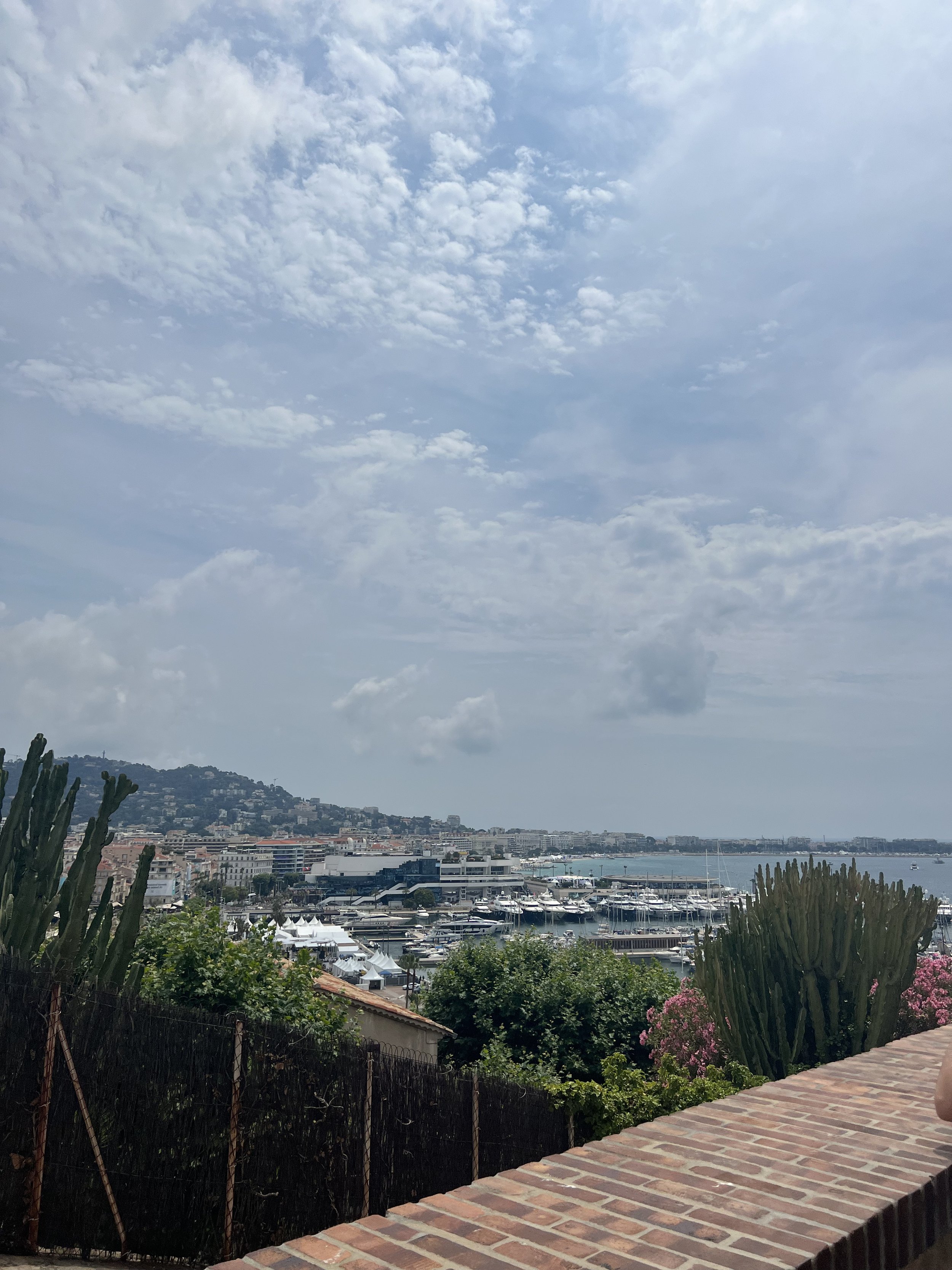 IMG_5492.jpeg