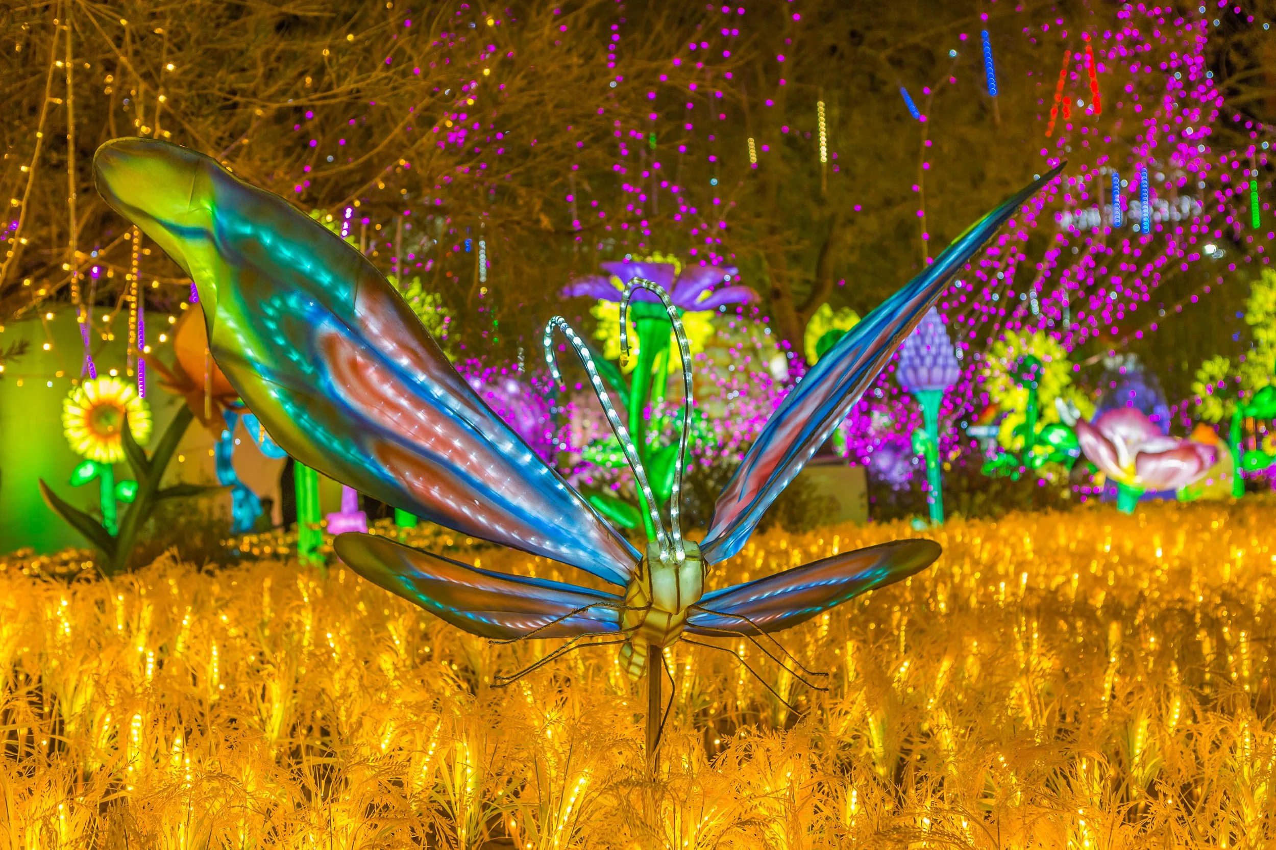 Colorful illuminated butterfly sculpture in a garden with glowing flowers and trees at night.