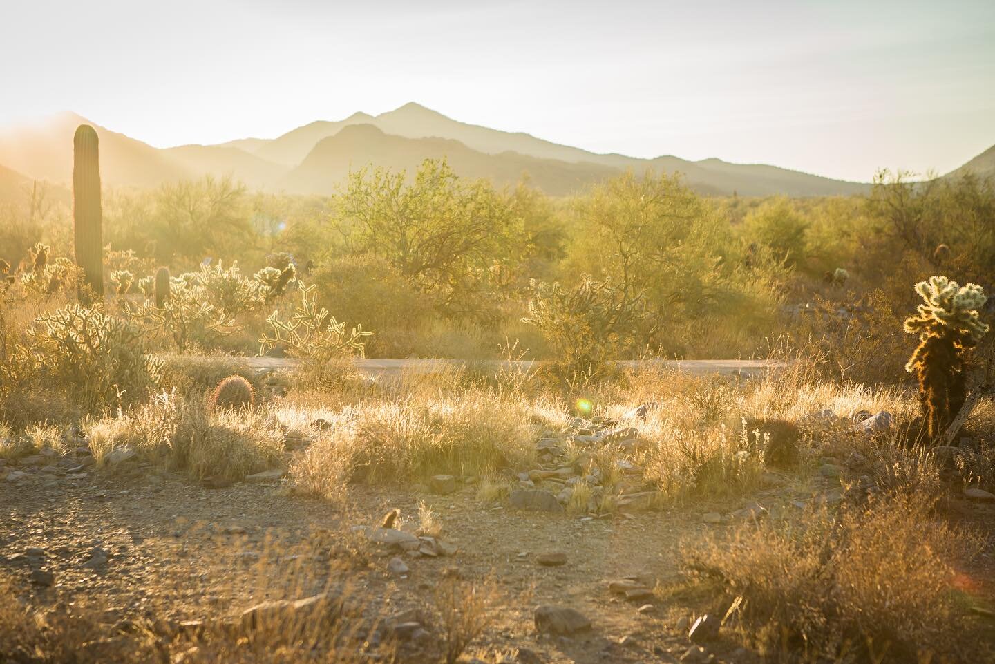 Sunrise at the McDowell Sonoran Preserve in Scottsdale was breathtaking, and the perfect hour for an early bird photo session. 📸 
#Godisgood 
#blessed 
#ArizonaPhotographer 
#scottsdalephotographer
#southwestphotographer
#phoenixphotographer 
#event