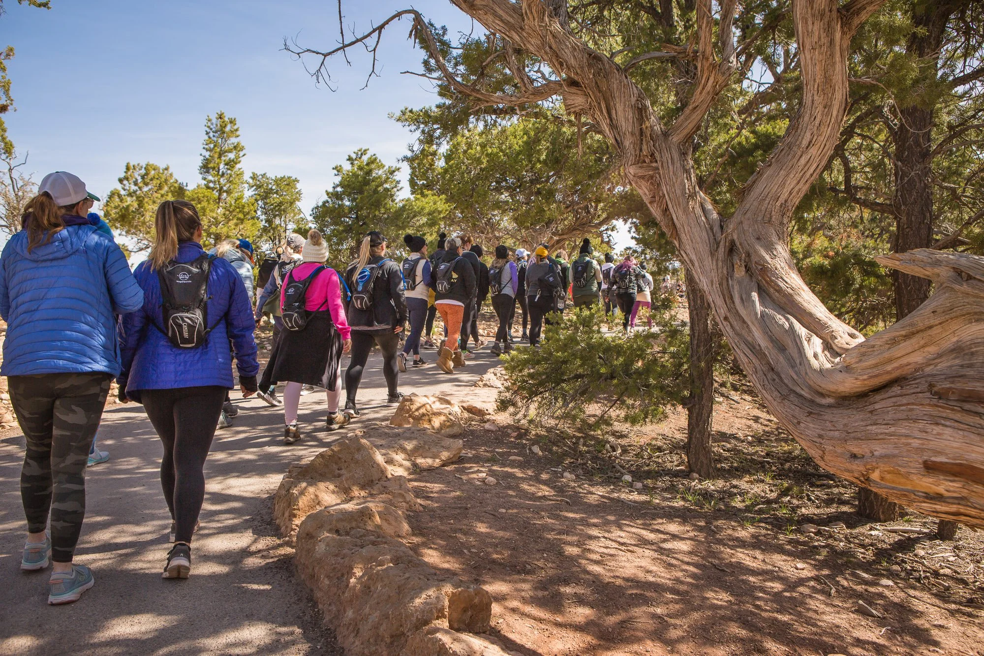 women's retreat grand canyon hike