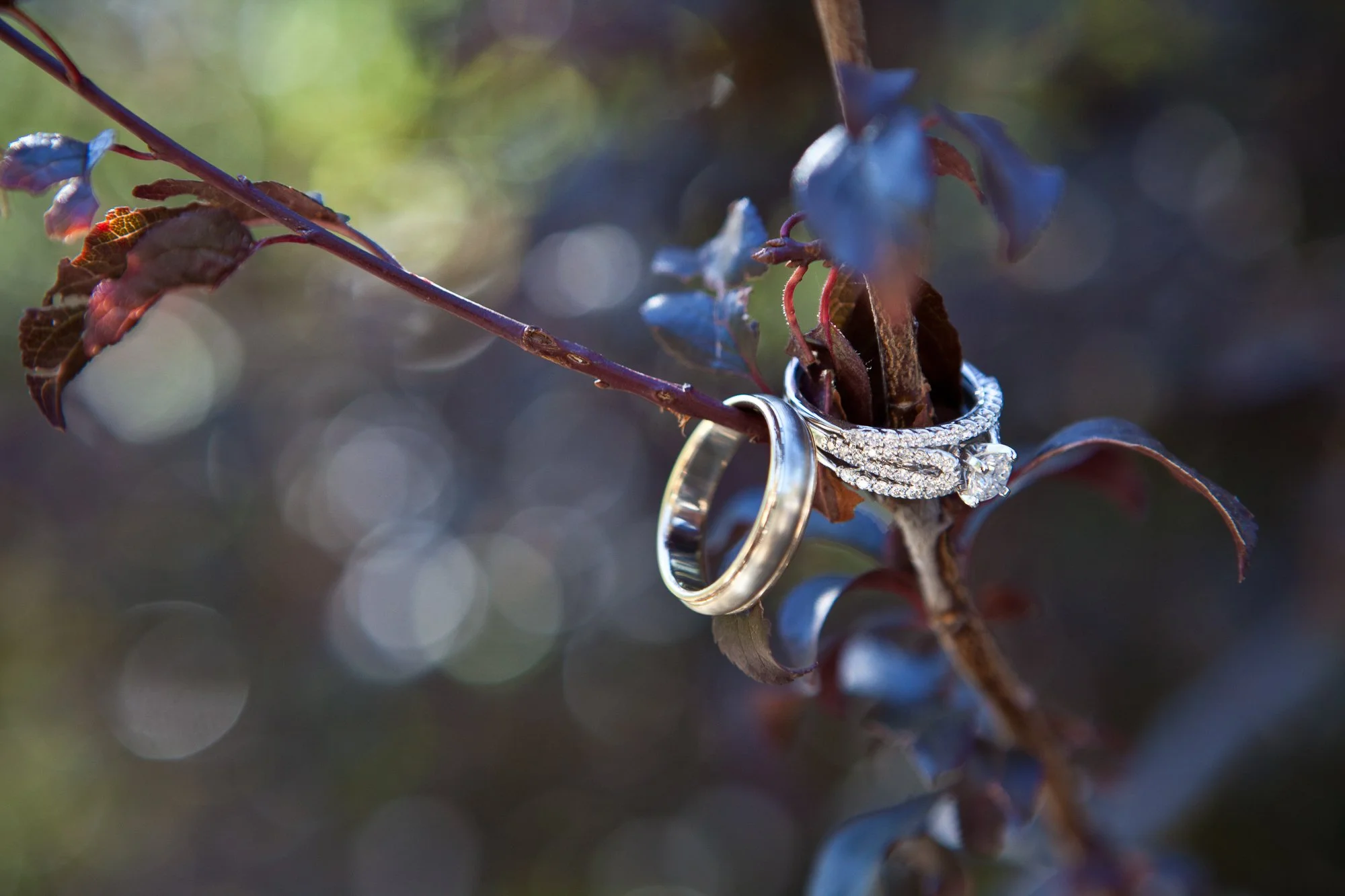 wedding photographer Scottsdale, Arizona ring detail shot