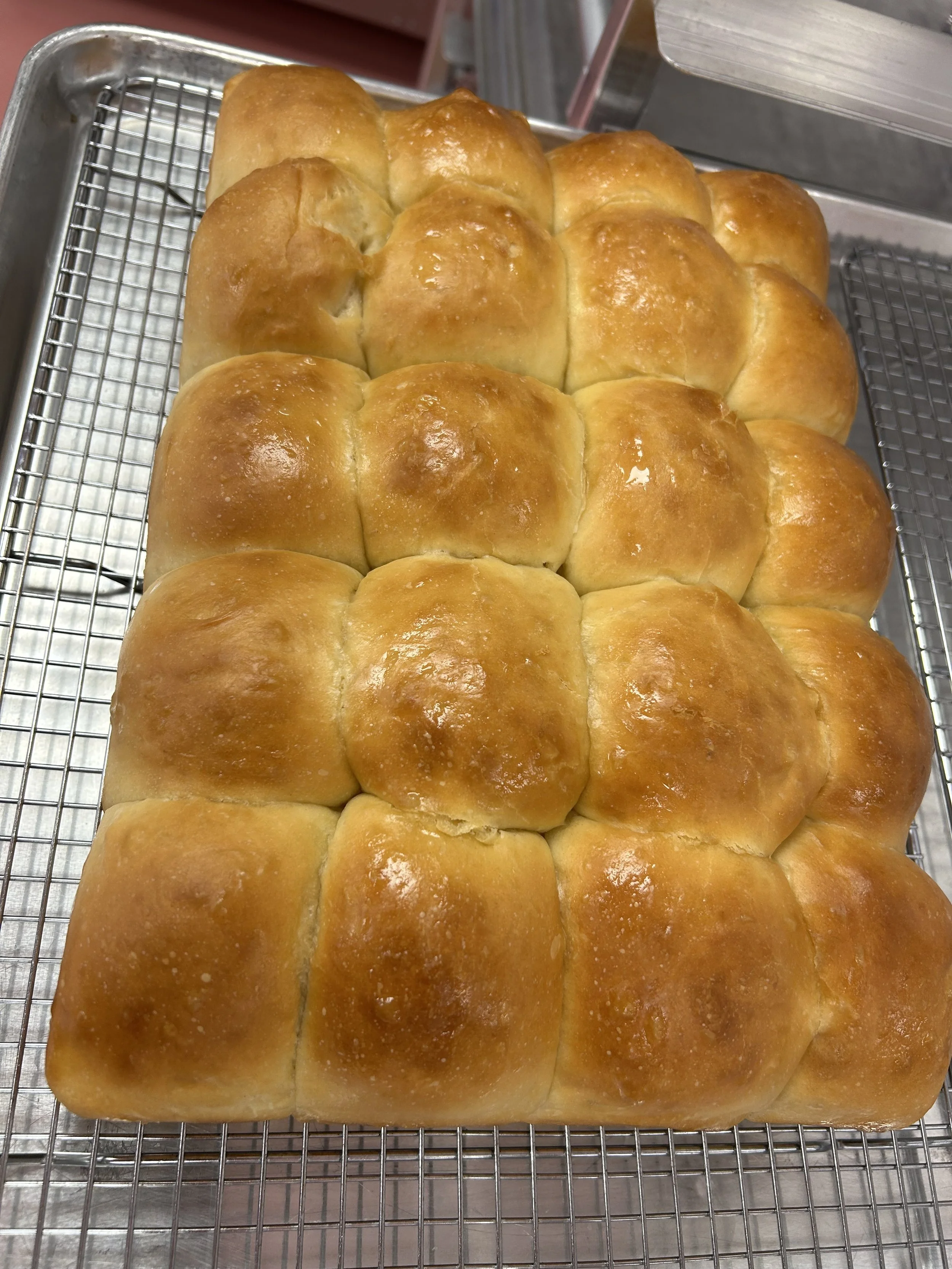 Dinner Rolls