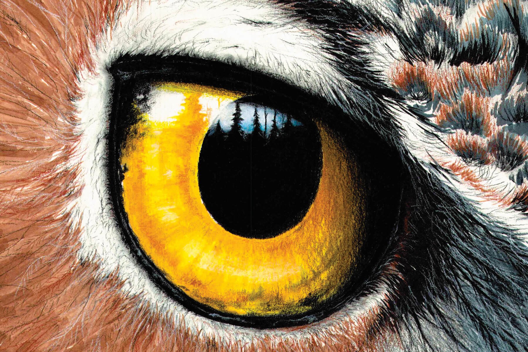 great horned owl fine art drawing eye.jpg