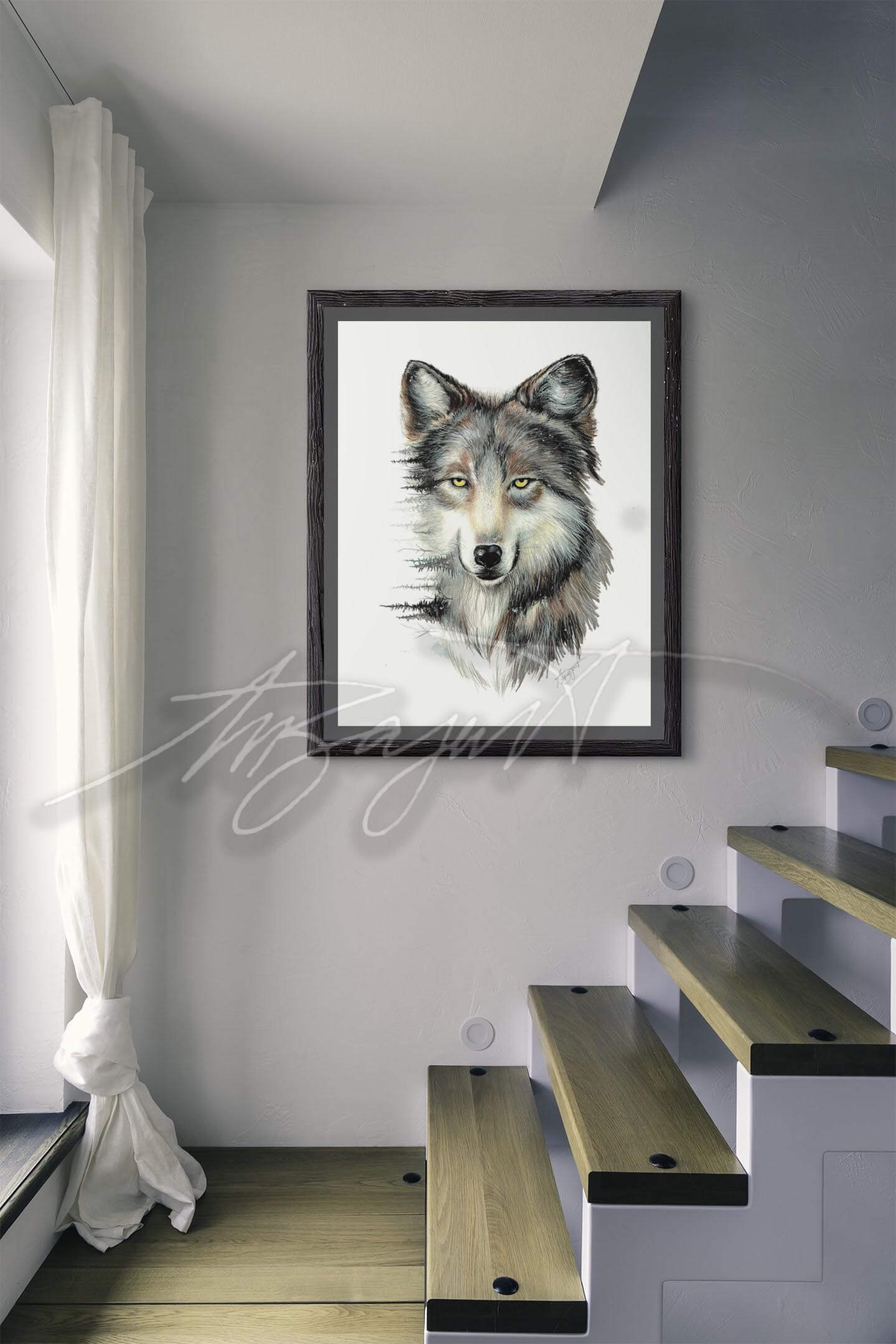 arctic wolf fine art drawing in frame on wall