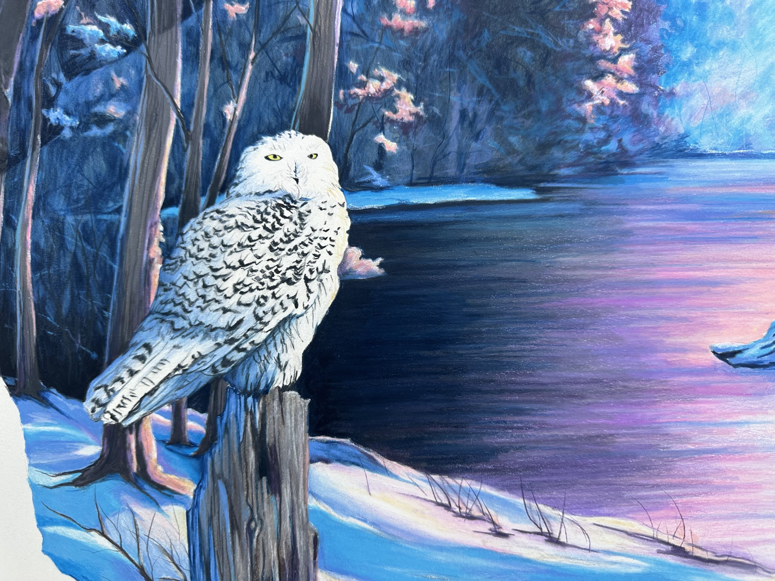Snowy owl perched on tree stump beside snowy lake fine pencil art