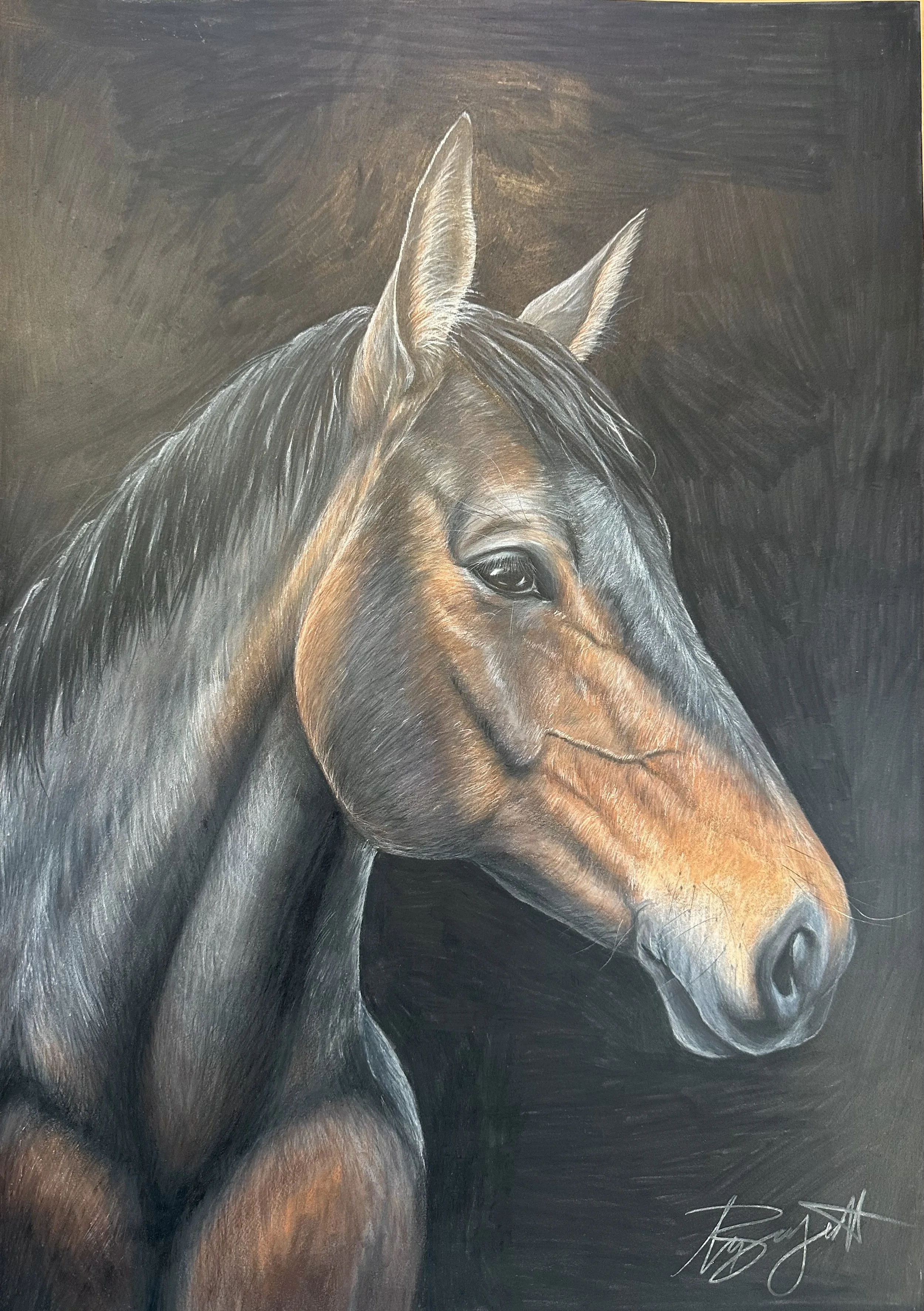 image_50384385 (1).JPG