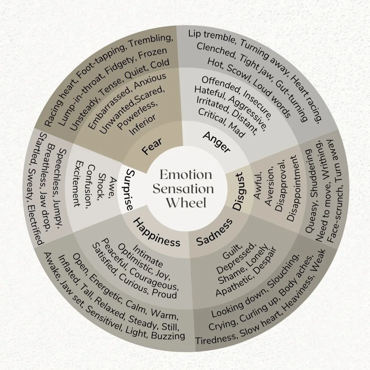 Emotion+Sensation+Wheel.jpg