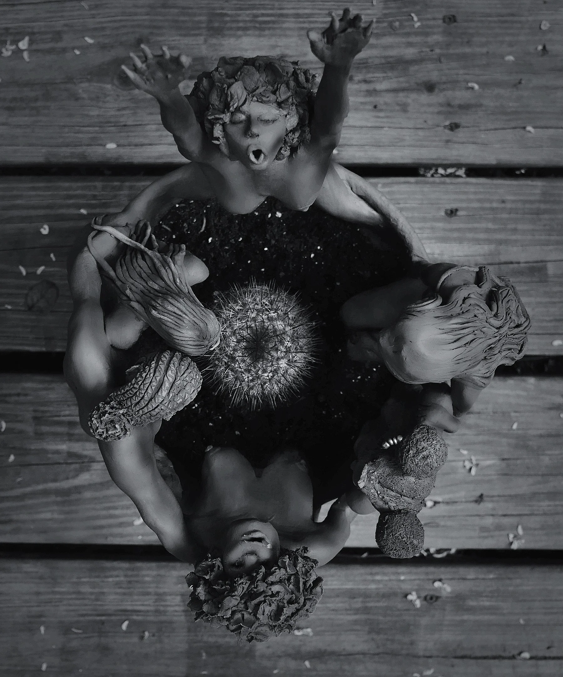 AfterlightImage 19.JPG