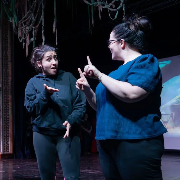 Auslan interpreters