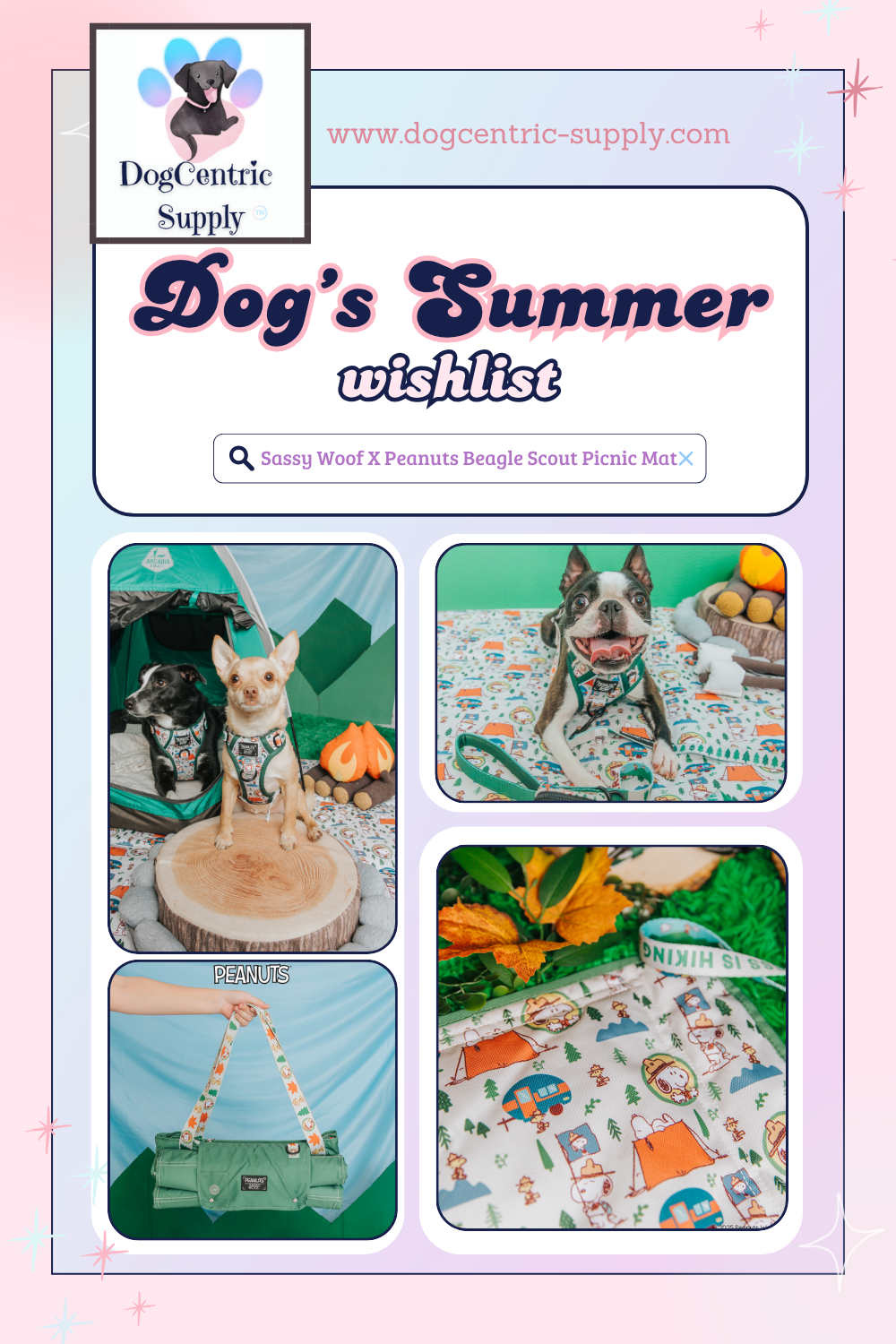 DCS Sassy Woof x Peanuts Beagle Scout Picnic Mat