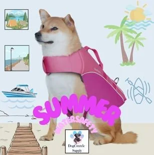 A dog wearing a pink life jacket on a dock with summer-themed illustrations including a boat, a beach boardwalk scene, palm tree, and sunshine, with the text 'SUMMER' and 'WATERSAFETY'.