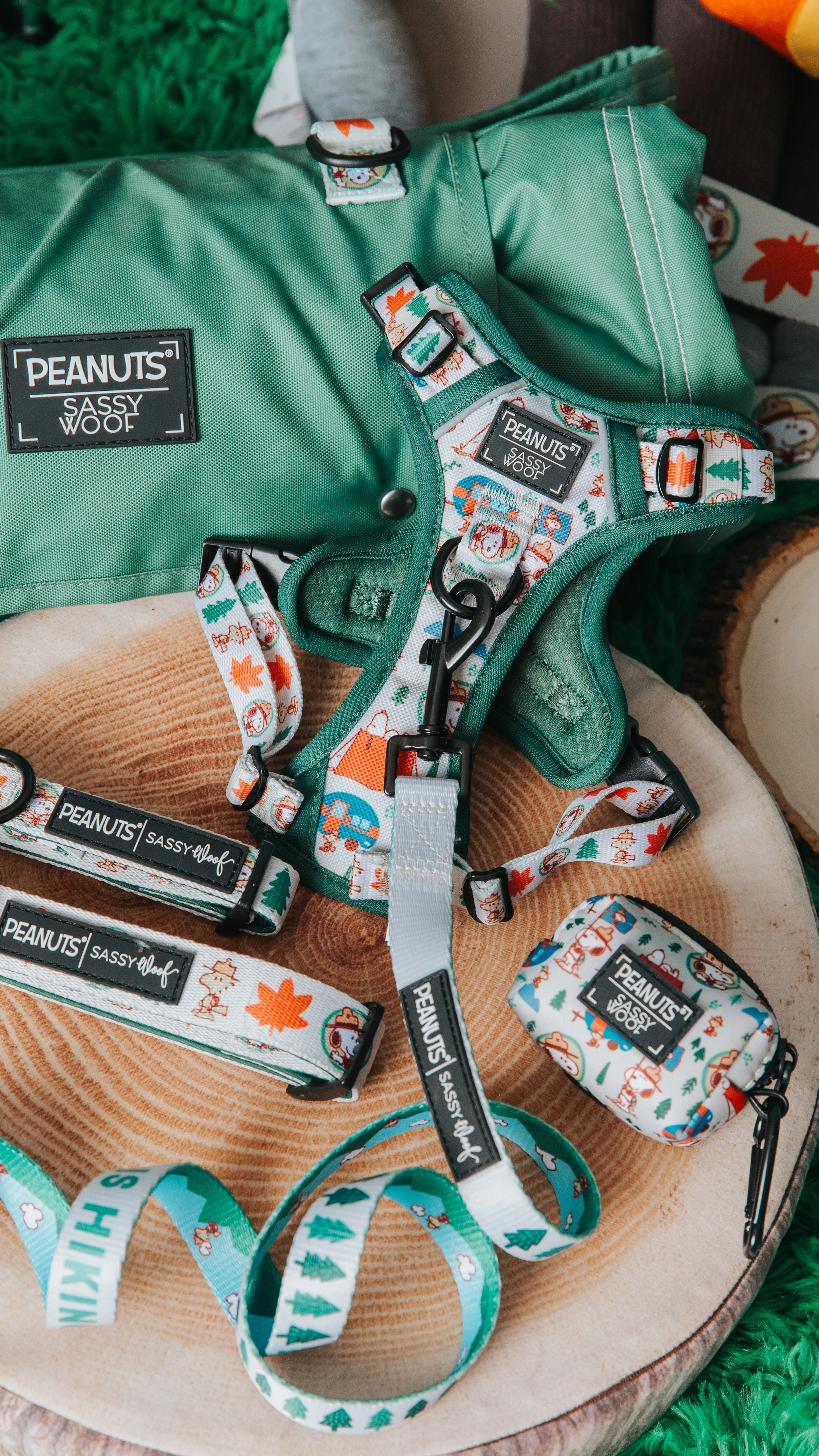 03.17.25 - Beagle Scout Sneak Peek (1).jpg