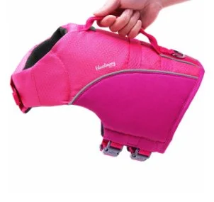 BP - Reflective Dog Life Jacket Pink Fuch.jpg
