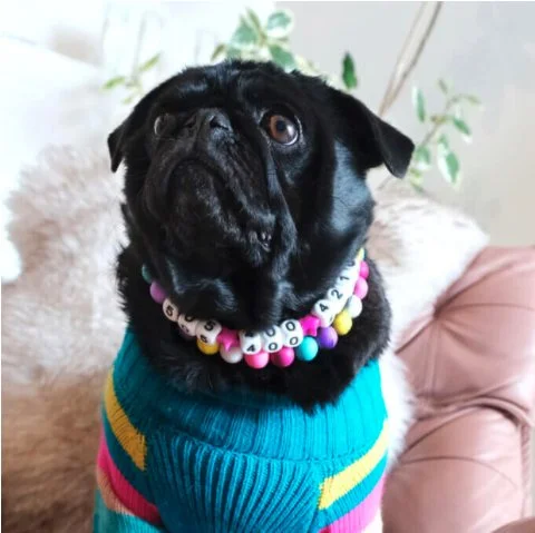 MG Friendship Beads Dog Model.jpg