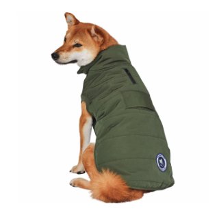 BP Waterproof Quilter Puffer Dog Jacket dog model back.jpg