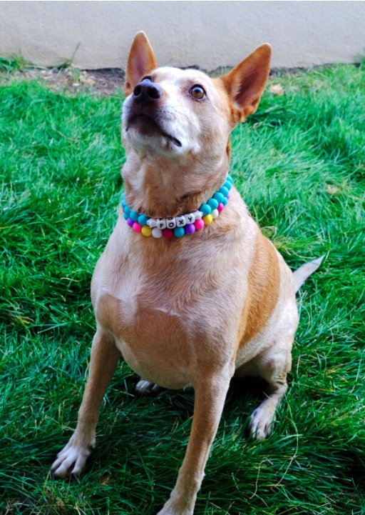MG Friendship Beads Dog2.jpg