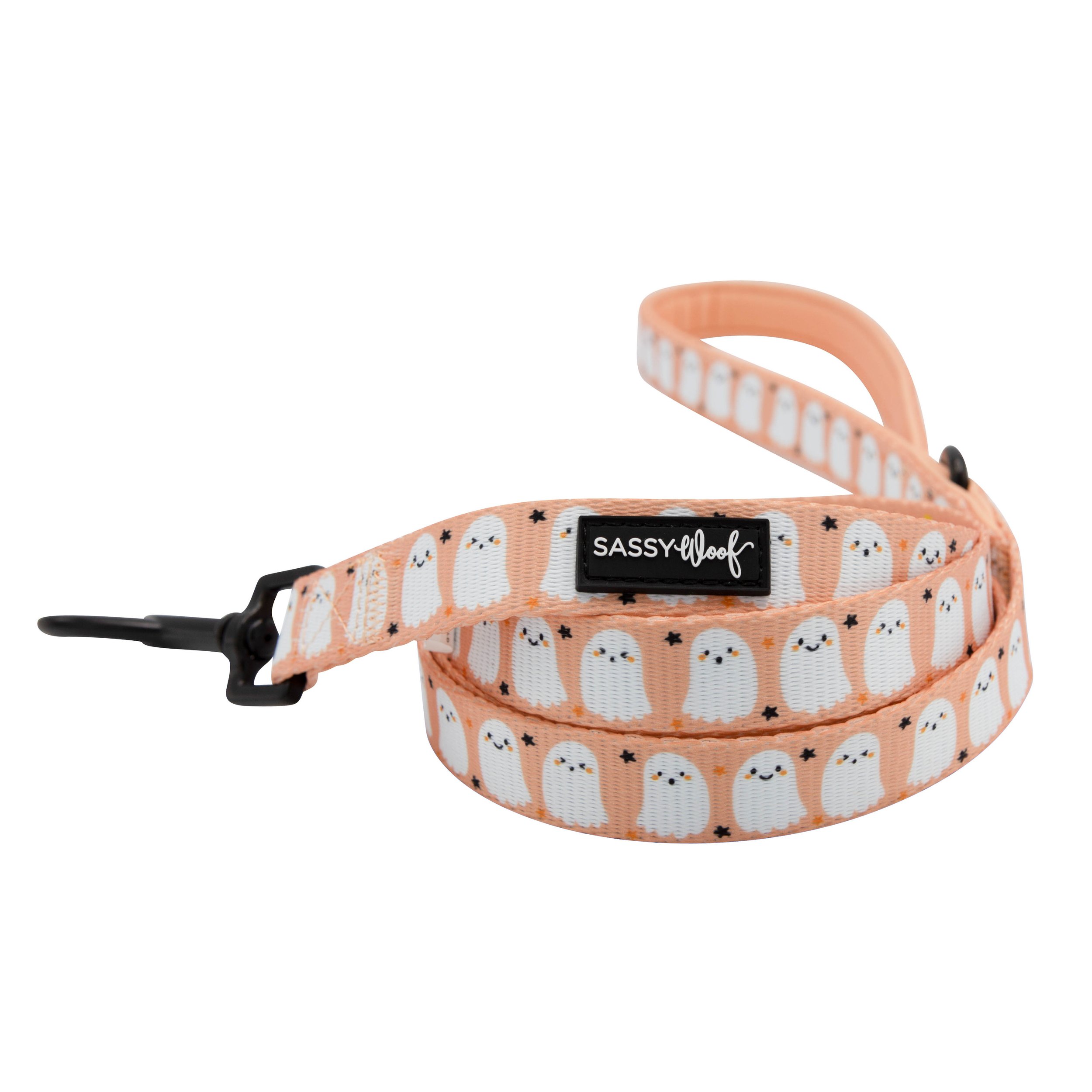 squad-ghouls-dog-leash-2.jpg