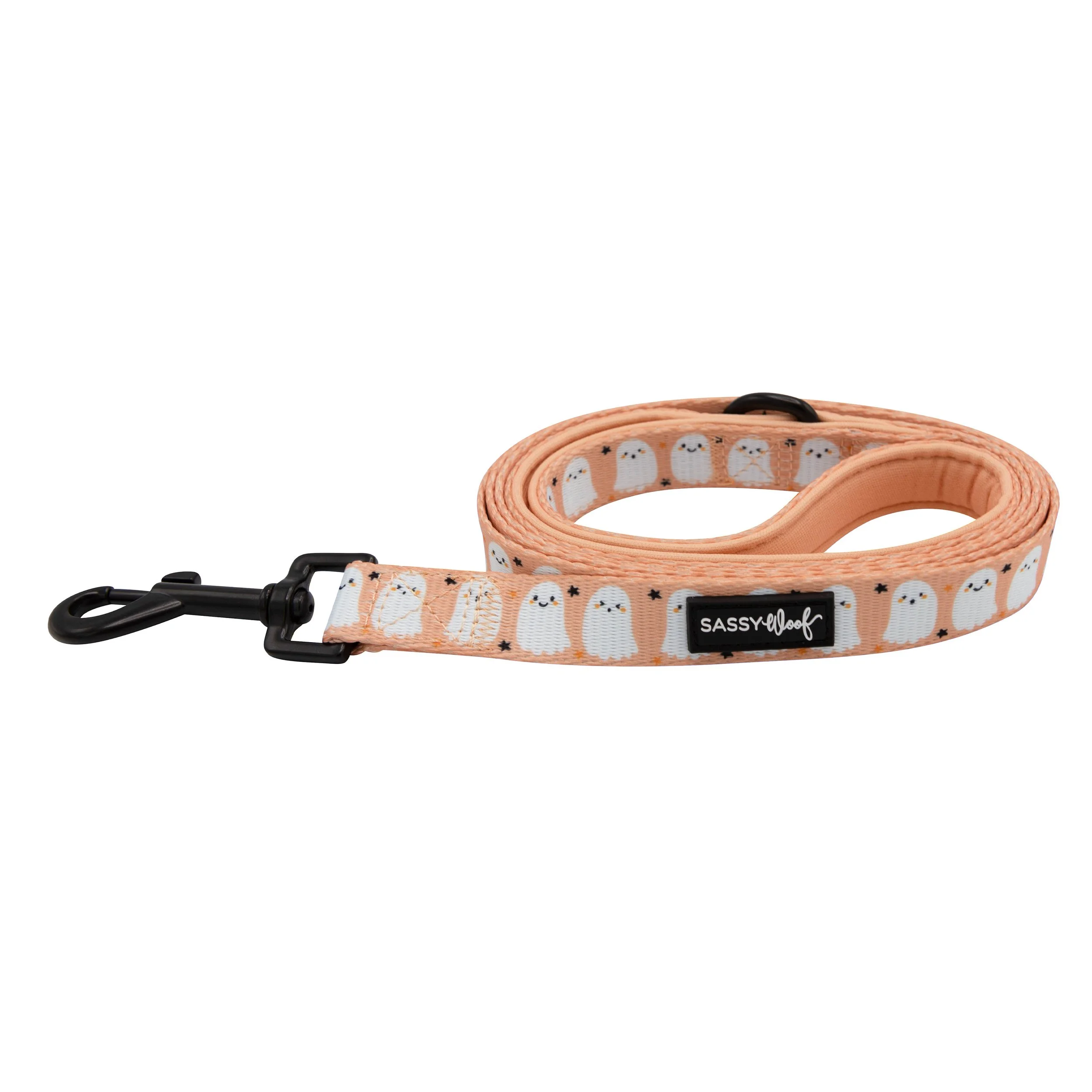 squad-ghouls-dog-leash.jpg