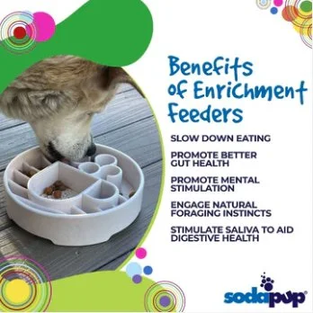 SP Java bowl deep slow feeder Benefits.jpg