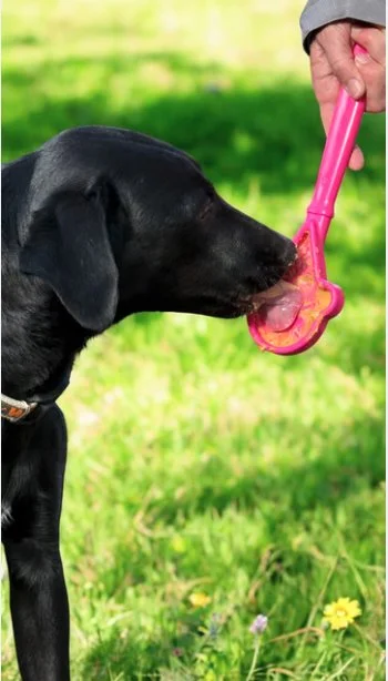 Sodapup Lick Stick dog.jpg