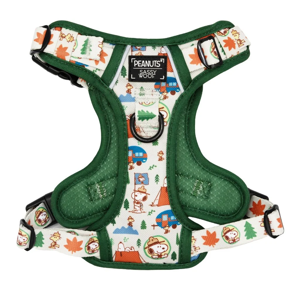 PEANUTS-GREEN-TAILS-ON-TRAILS-HARNESS.jpg