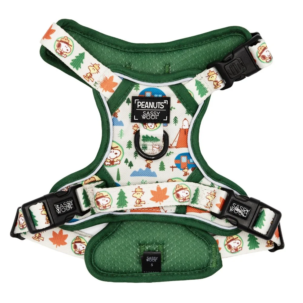 Sassy Woof x Peanuts Beagle Scouts Bundle, 2 Pc Matching Set