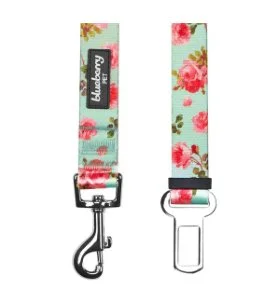 BP - Petal Paws seat belt tether Turquioise.jpg